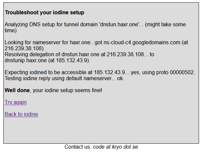 Iodine DNS Server Check