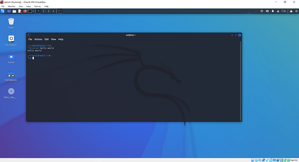 Kali Linux Desktop