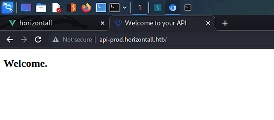 api welcome message