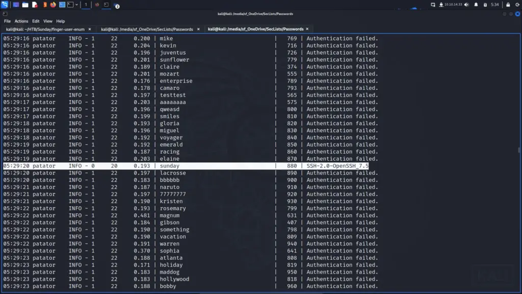 SSH Brute Force