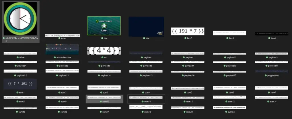 All the payloads