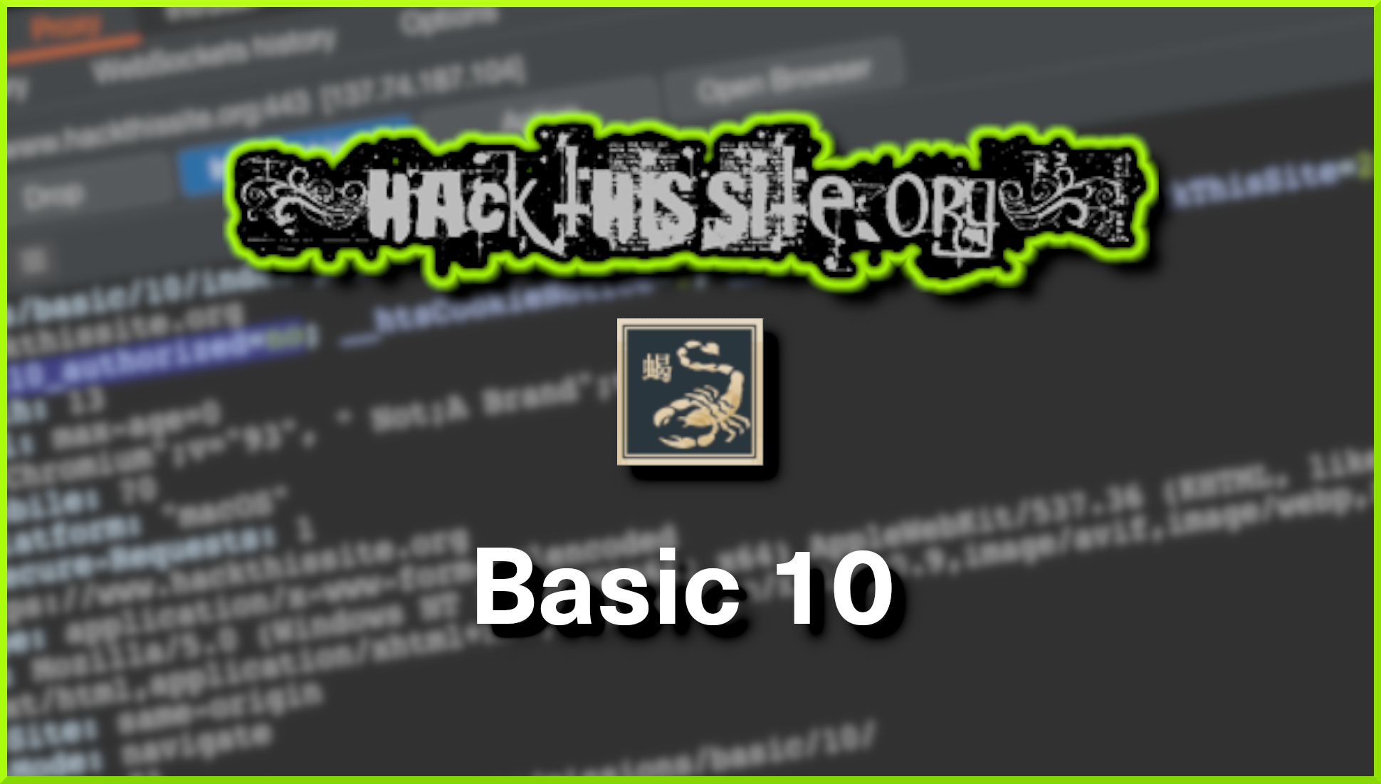 Hack This Site: Basic Web Challenges – Level 10